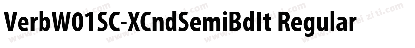 VerbW01SC-XCndSemiBdIt Regular字体转换